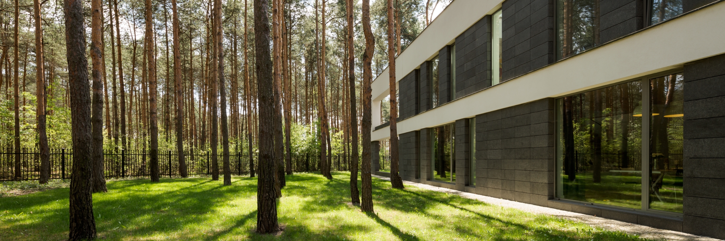 Trees beside a modern building