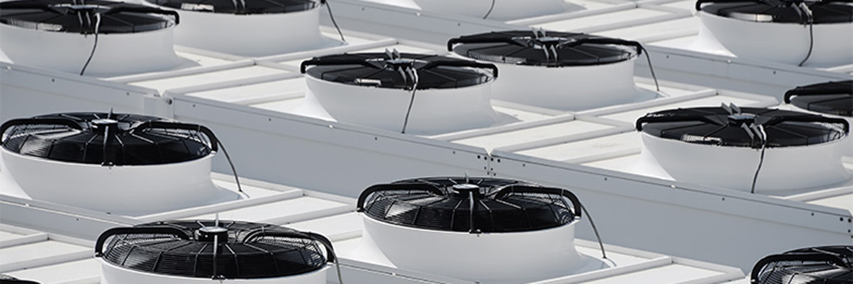 Introducing NexRev’s President and COO; focused on expanding our portfolio of products and services